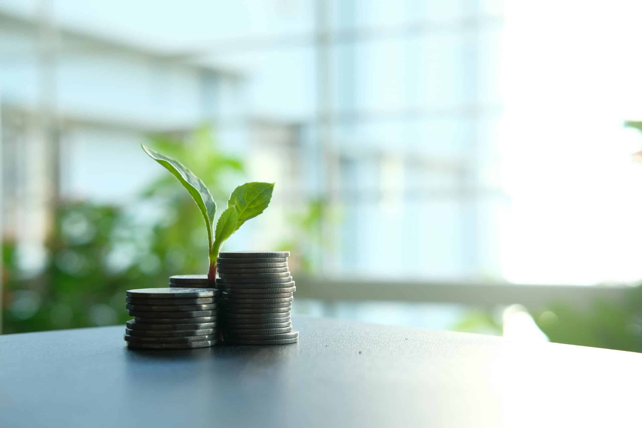 Plant sprouting from stacked coins symbolizing compound interest and savings growth using the Compound Interest Free Compound Choices Calculator