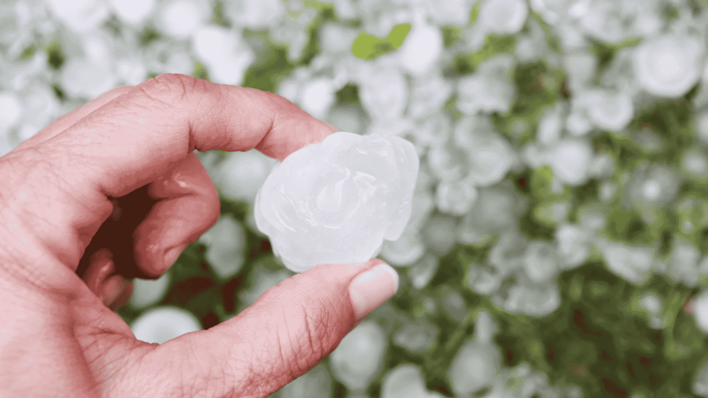 Large hailstones that often cause hail damage car issues like dents, cracked windshields, and costly repairs.