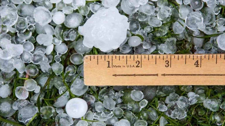 A picture showing the size of hail and Does GAP Insurance Cover Hail Damage for car damage