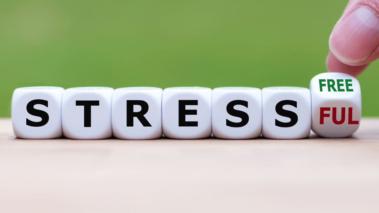 12 of the Best Jobs for People With Anxiety That Pay Well